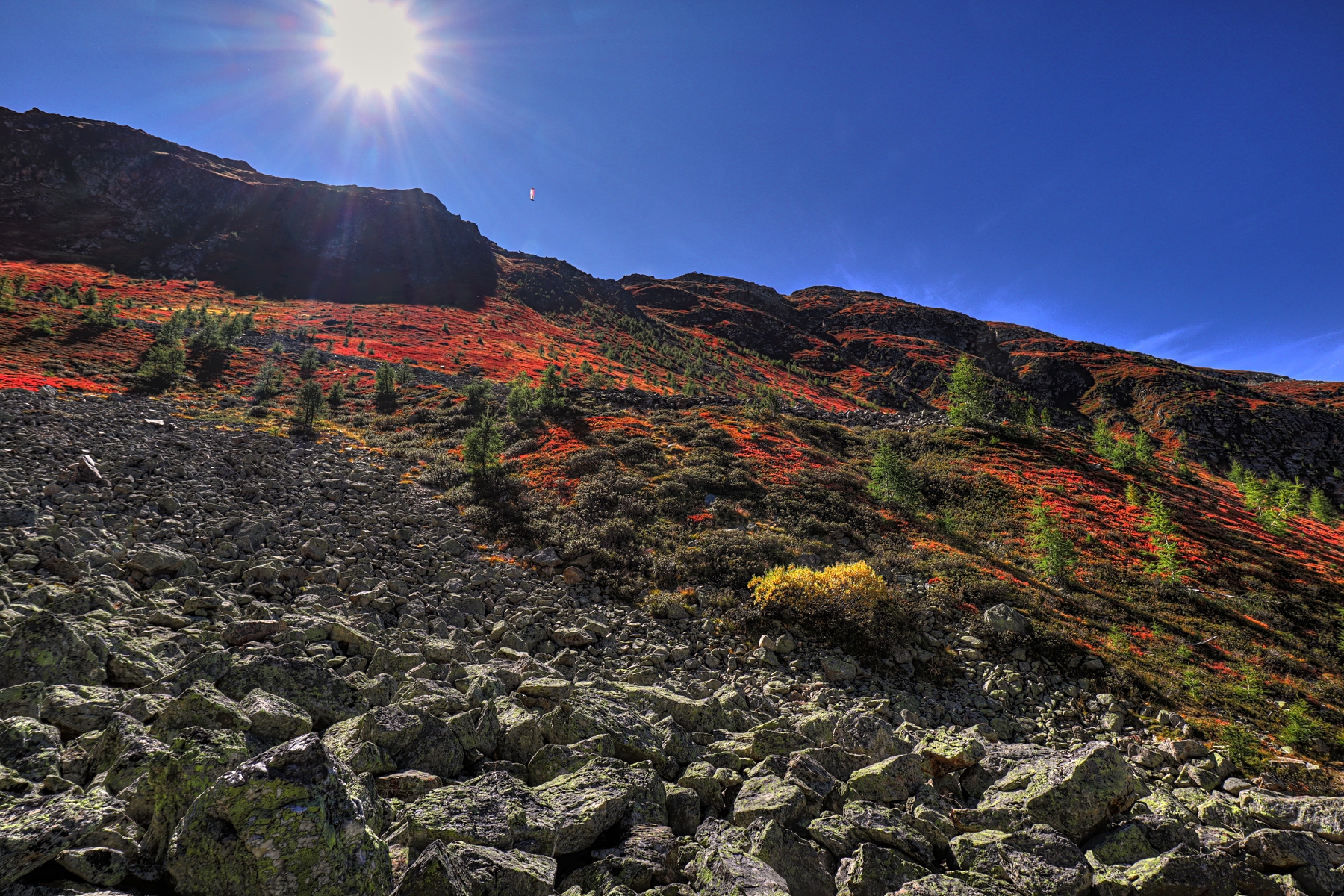 IMG_7910-hdr.jpg