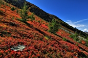 IMG_7916-hdr.jpg