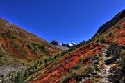 IMG_7919-hdr.jpg