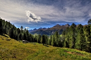 IMG_7922-hdr.jpg