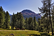 IMG_7943-hdr.jpg