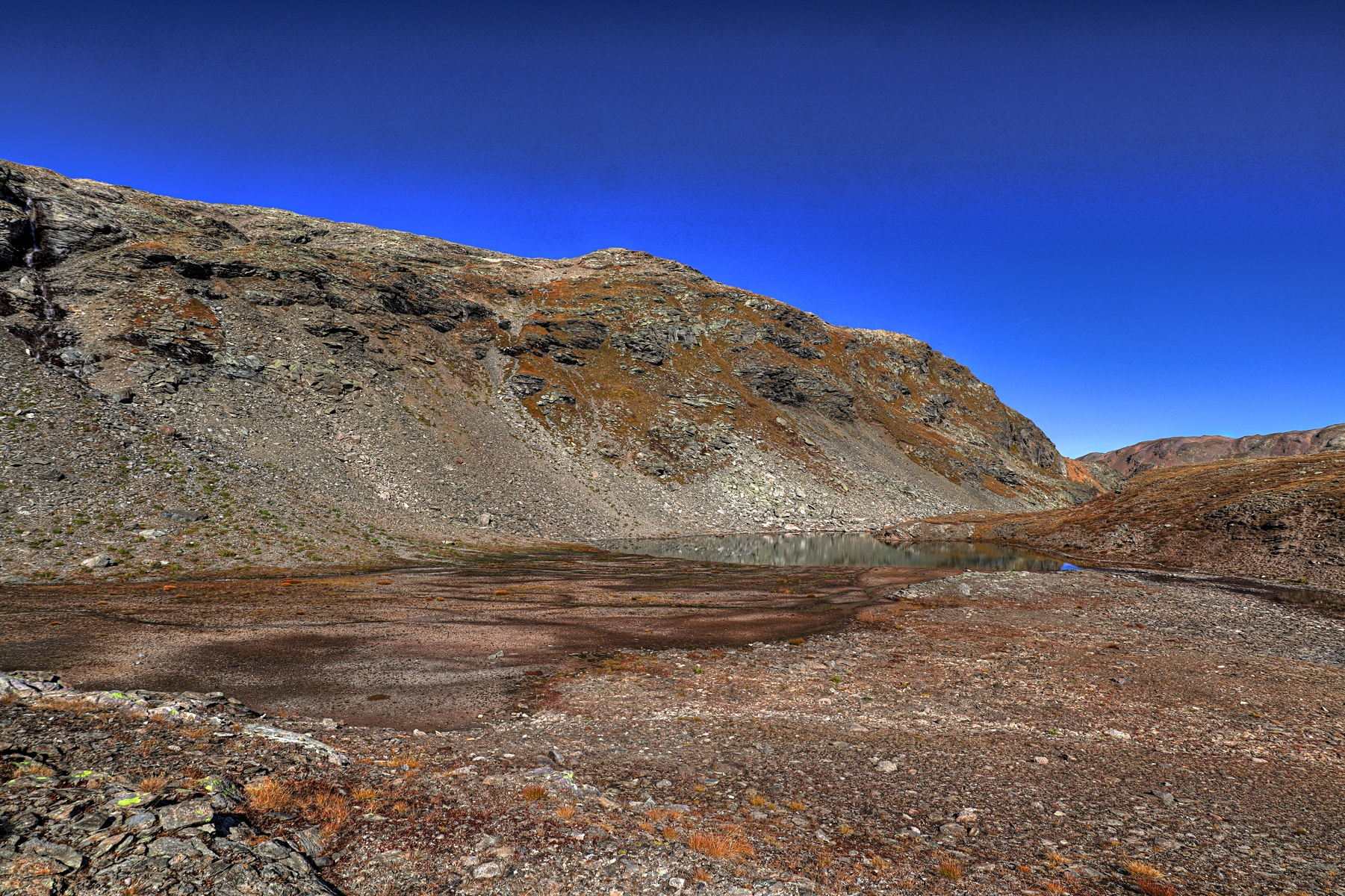 IMG_7979-hdr.jpg