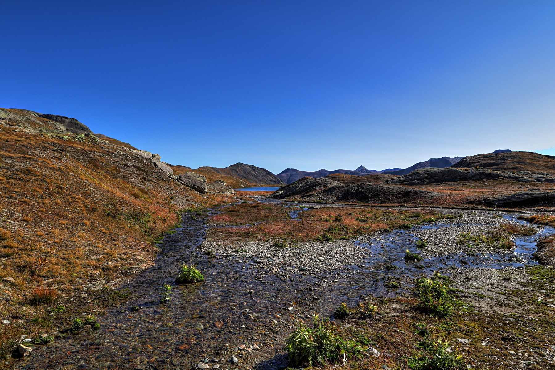 IMG_7985-hdr.jpg