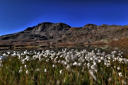 IMG_7967-hdr.jpg