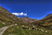IMG_8102-hdr.jpg