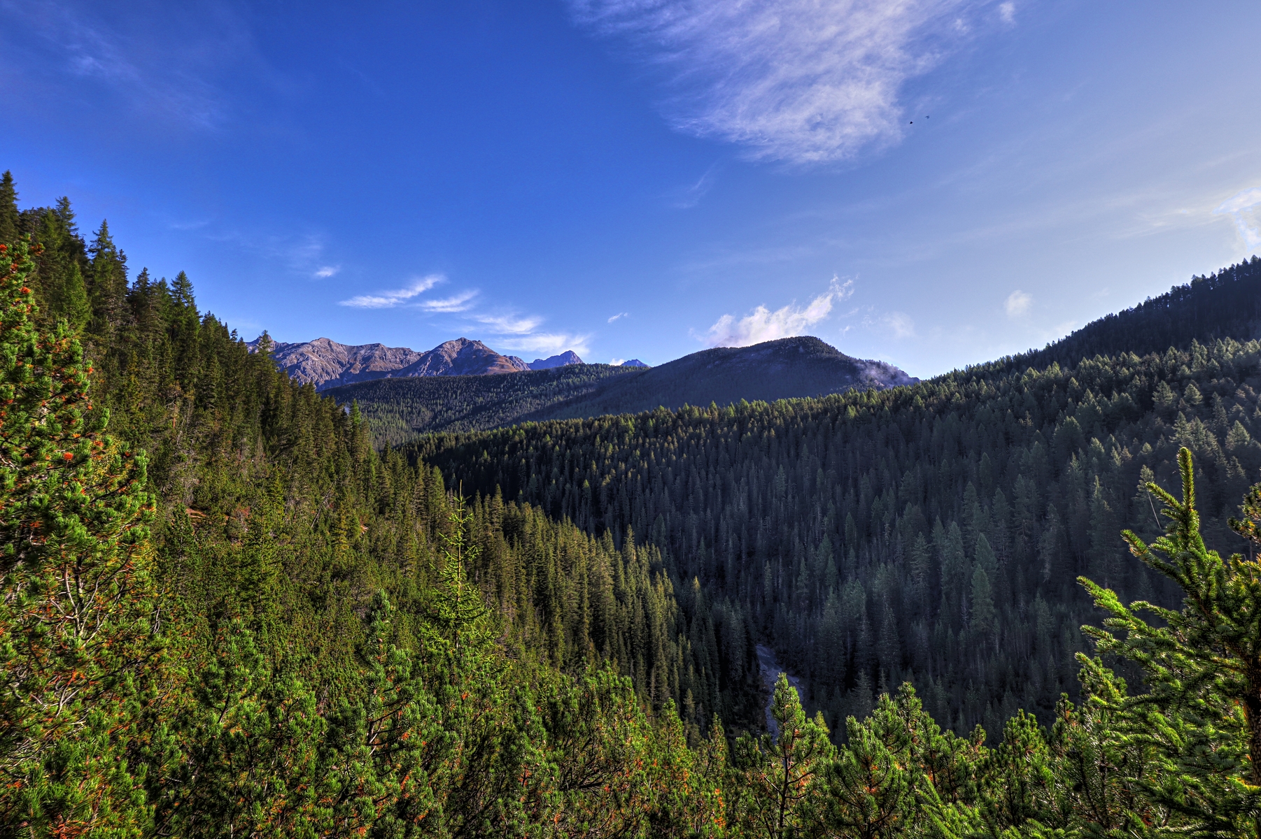 IMG_8138-hdr.jpg
