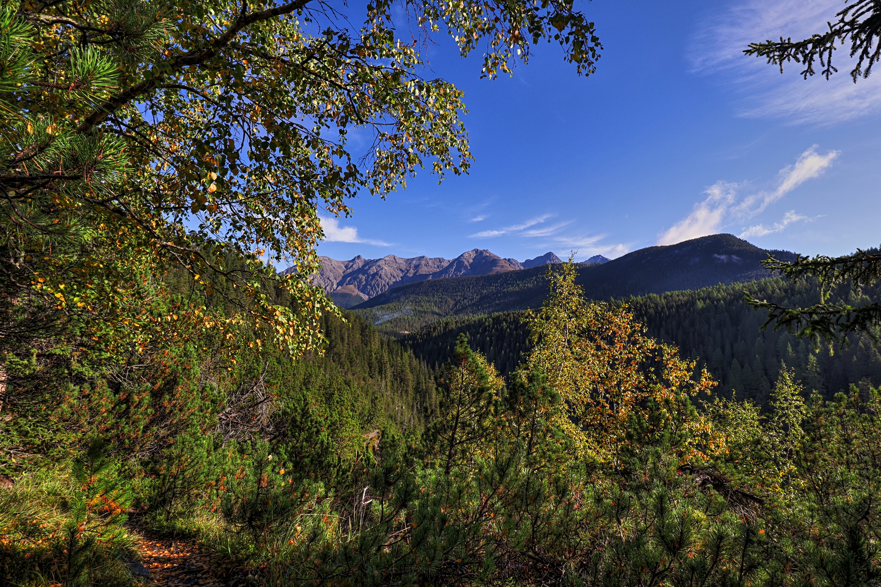 IMG_8141-hdr.jpg