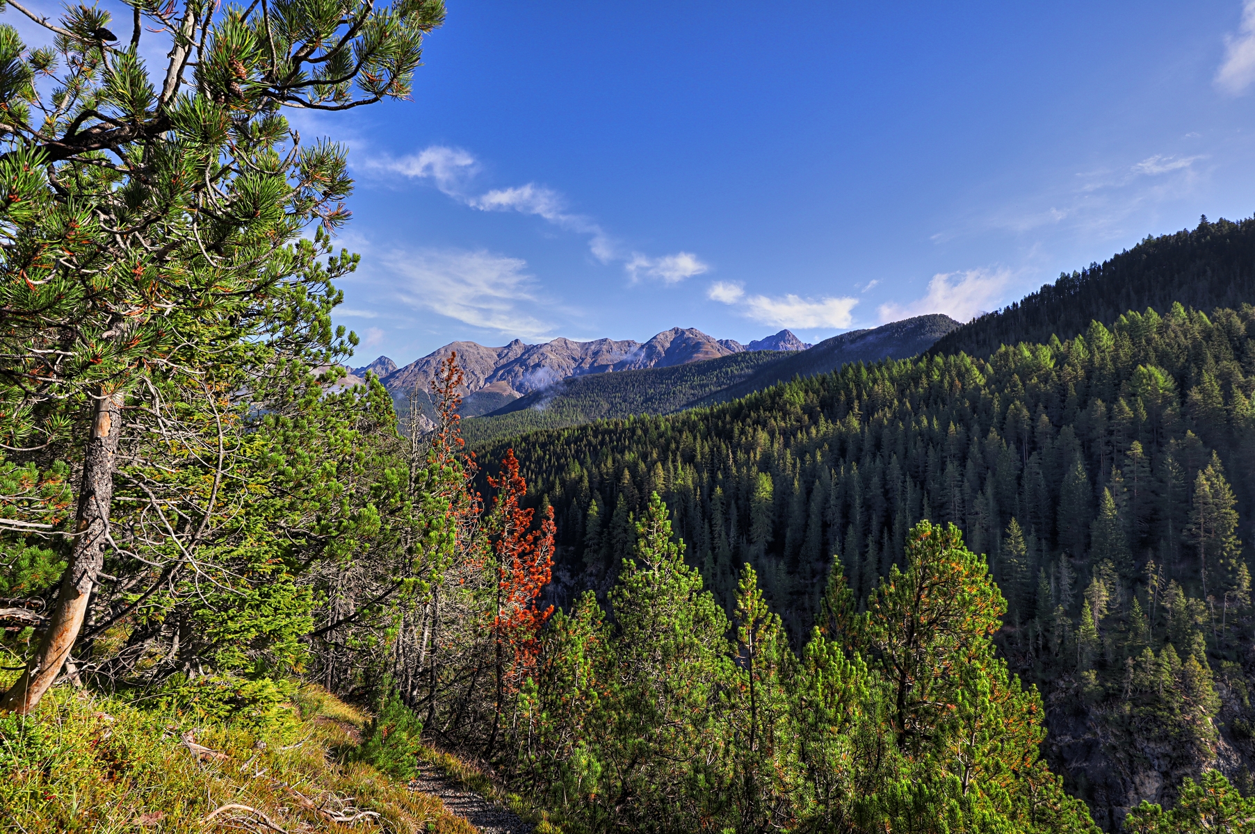 IMG_8147-hdr.jpg