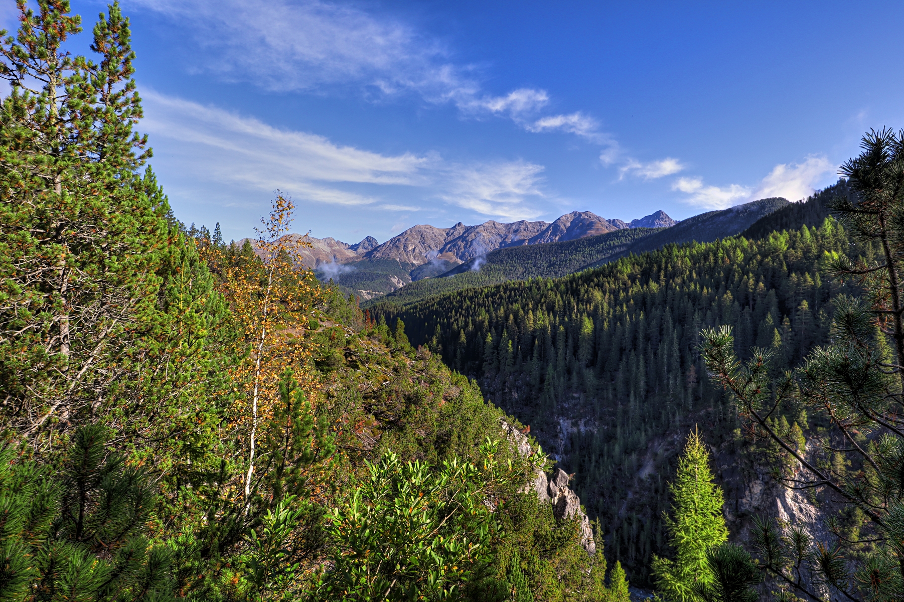 IMG_8150-hdr.jpg
