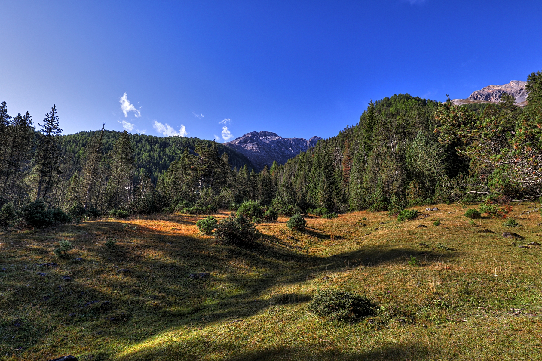 IMG_8159-hdr.jpg