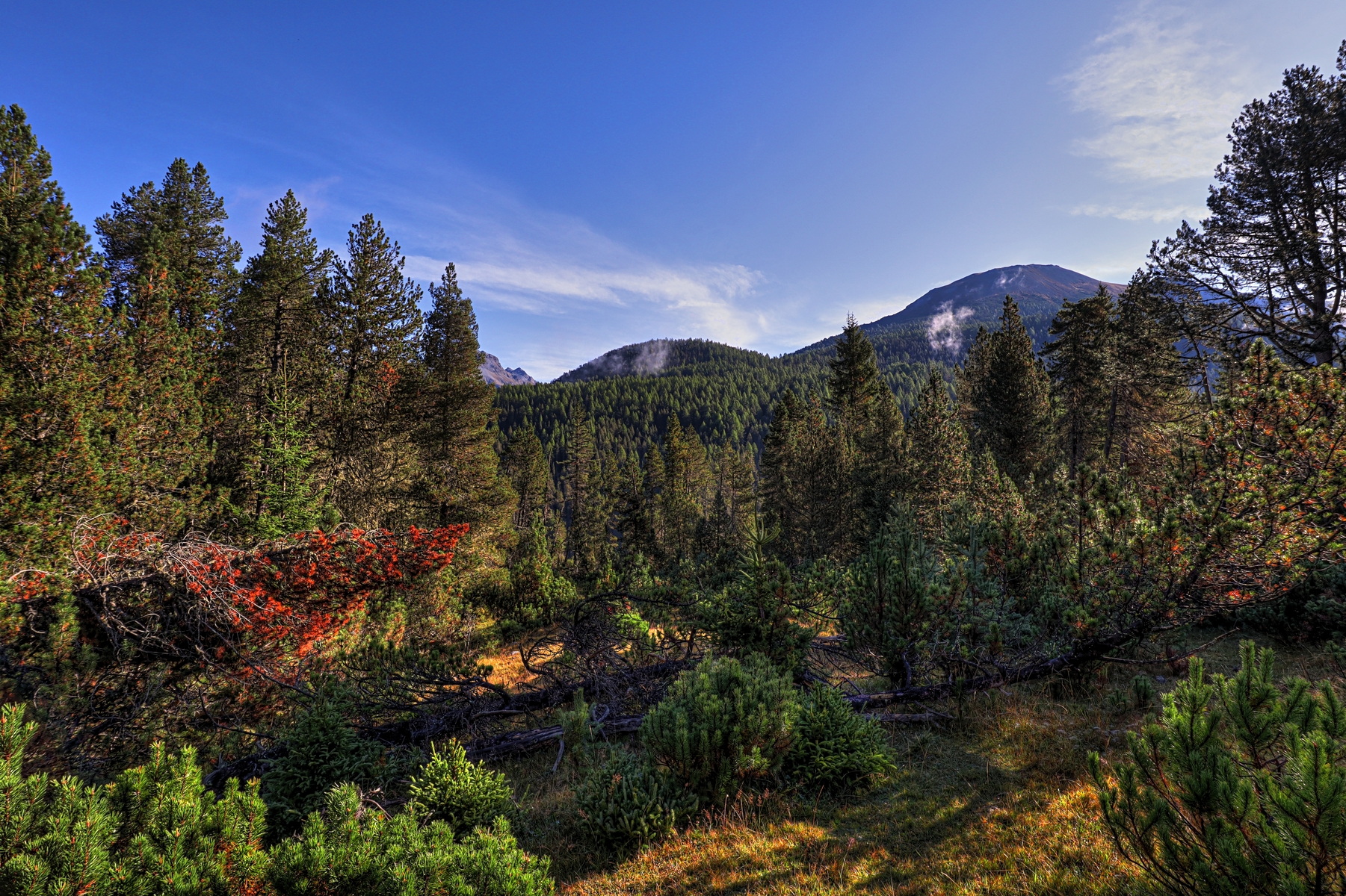 IMG_8162-hdr.jpg