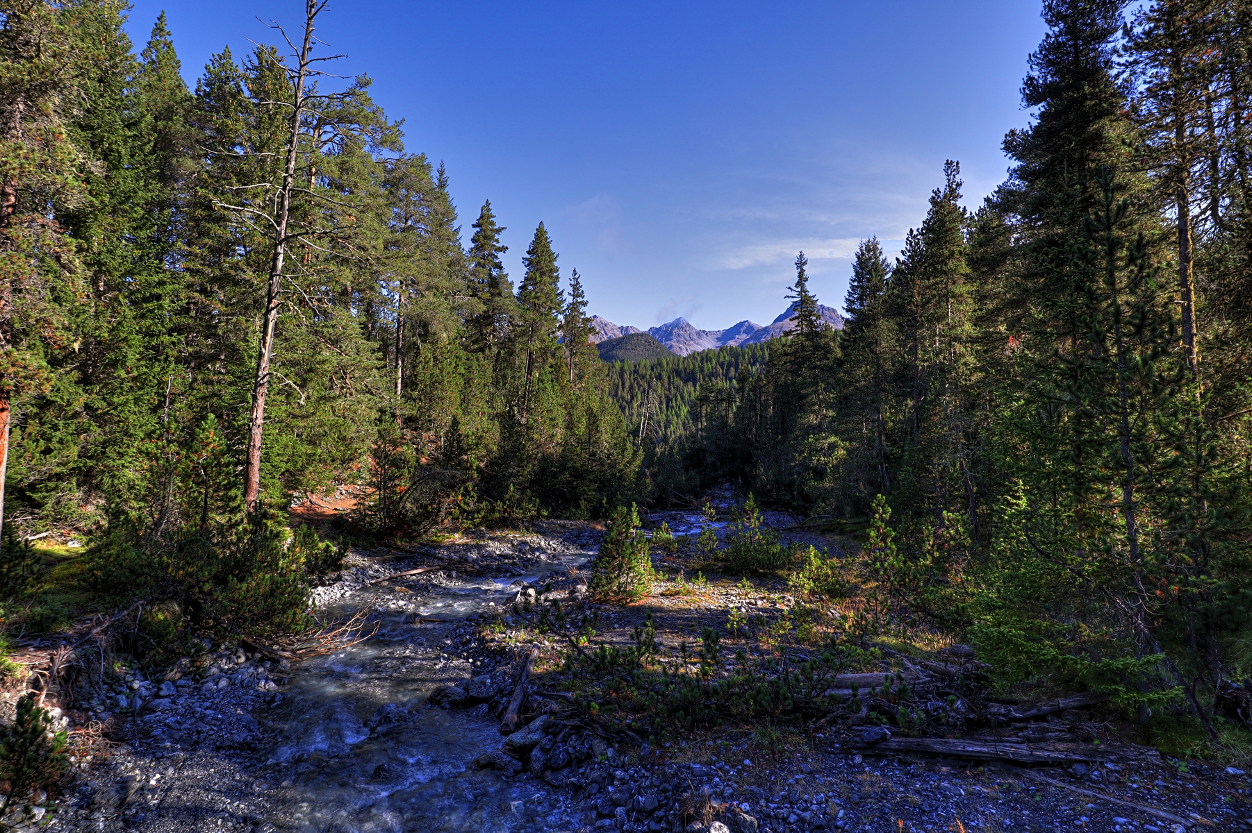 IMG_8165-hdr.jpg
