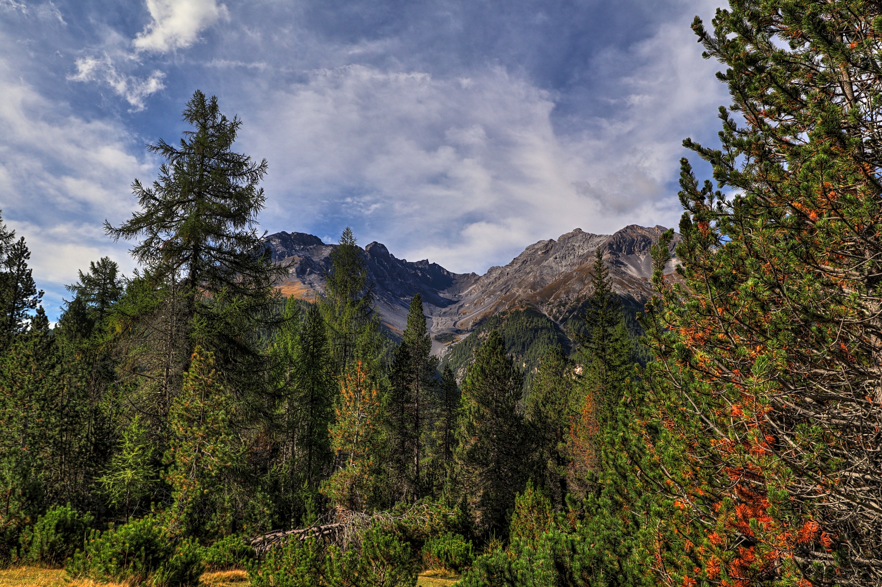 IMG_8177-hdr.jpg