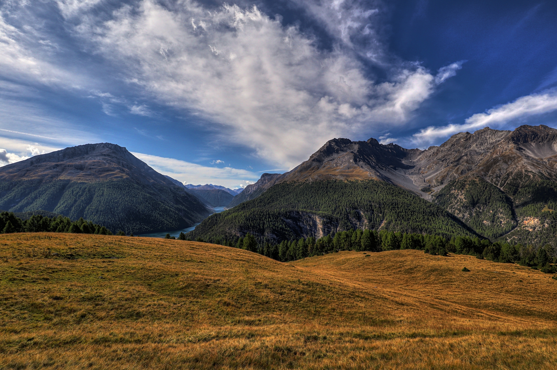 IMG_8201-hdr.jpg