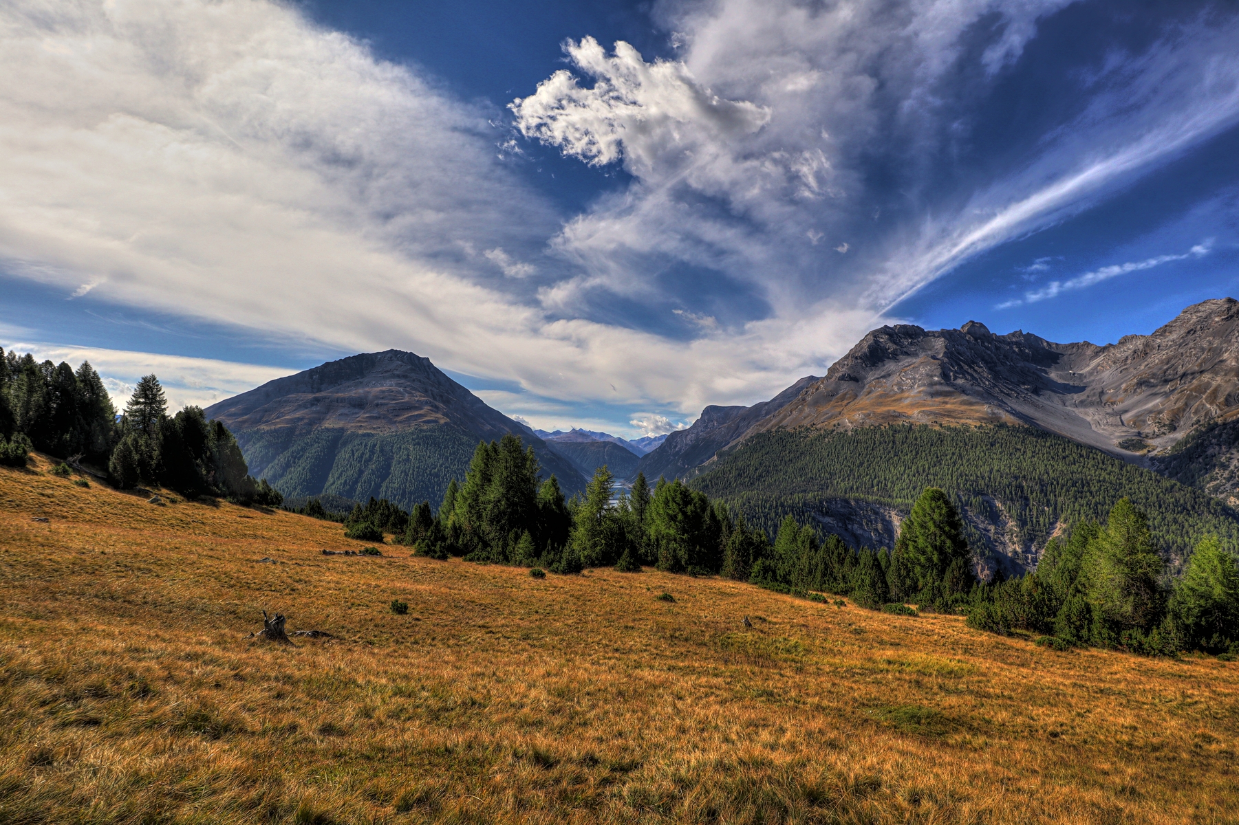 IMG_8228-hdr.jpg
