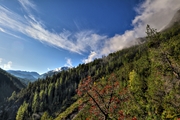 IMG_8135-hdr.jpg