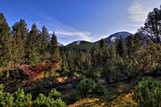 IMG_8162-hdr.jpg