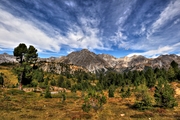 IMG_8345-hdr.jpg
