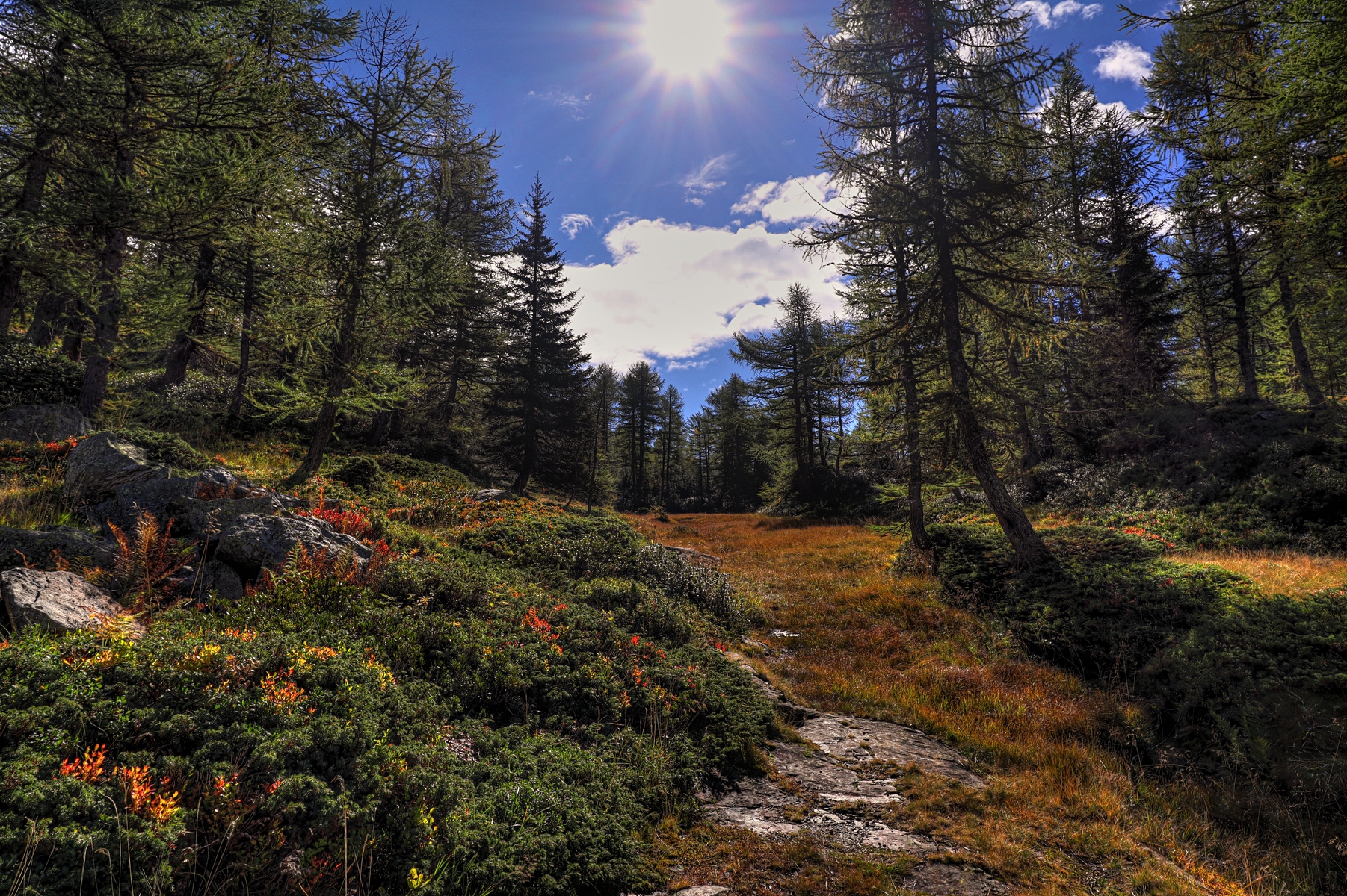 IMG_8423-hdr.jpg