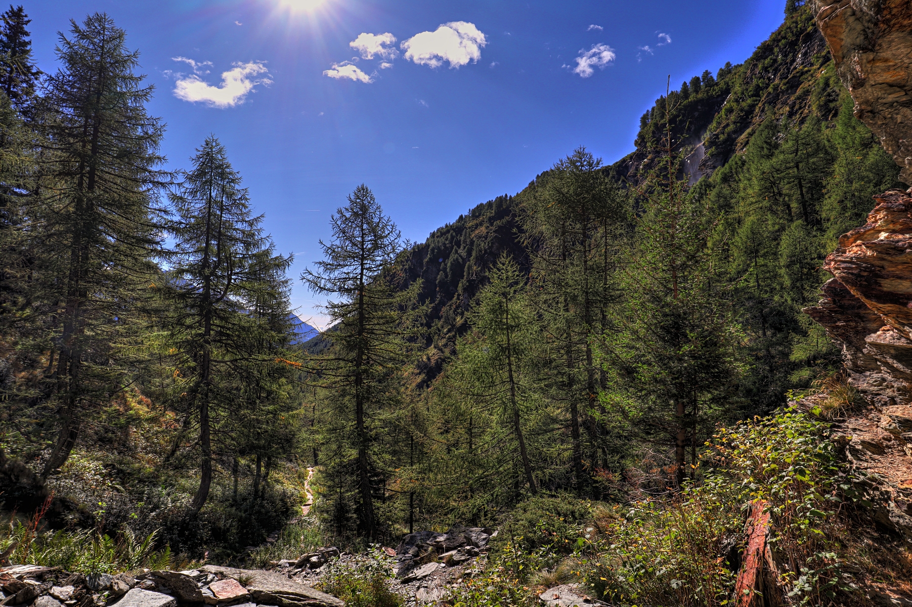 IMG_8441-hdr.jpg