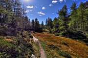 IMG_8432-hdr.jpg