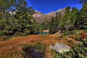 IMG_8435-hdr.jpg