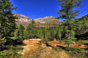 IMG_8438-hdr.jpg