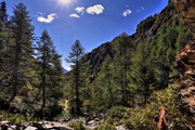 IMG_8441-hdr.jpg