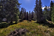 IMG_8450-hdr.jpg