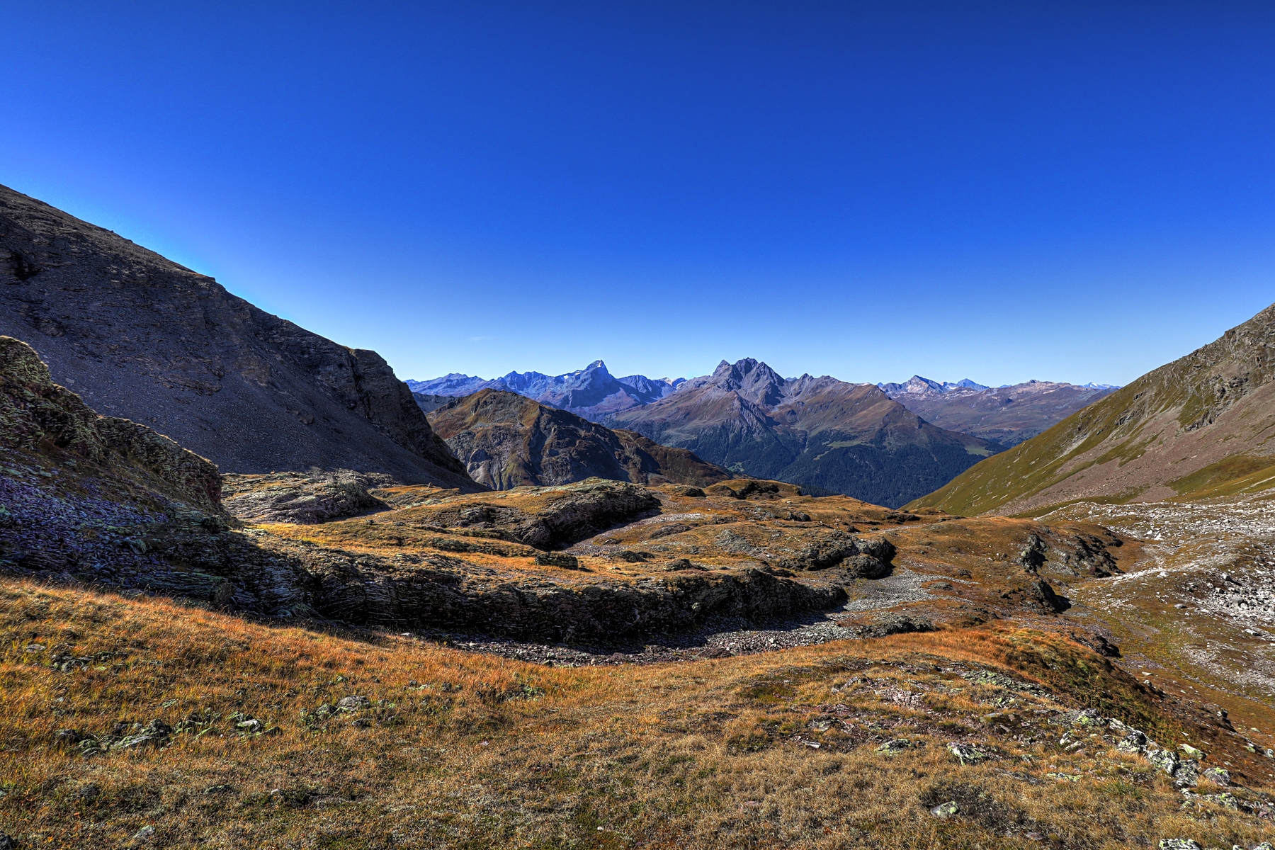 IMG_8805-hdr.jpg