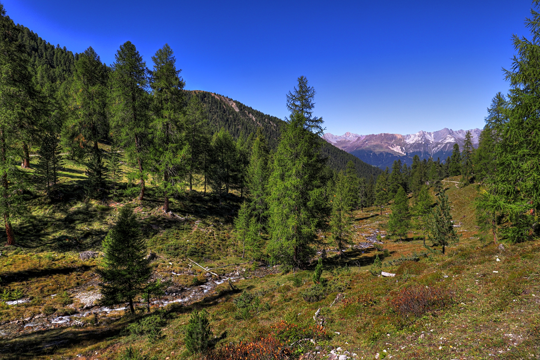 IMG_8961-hdr.jpg