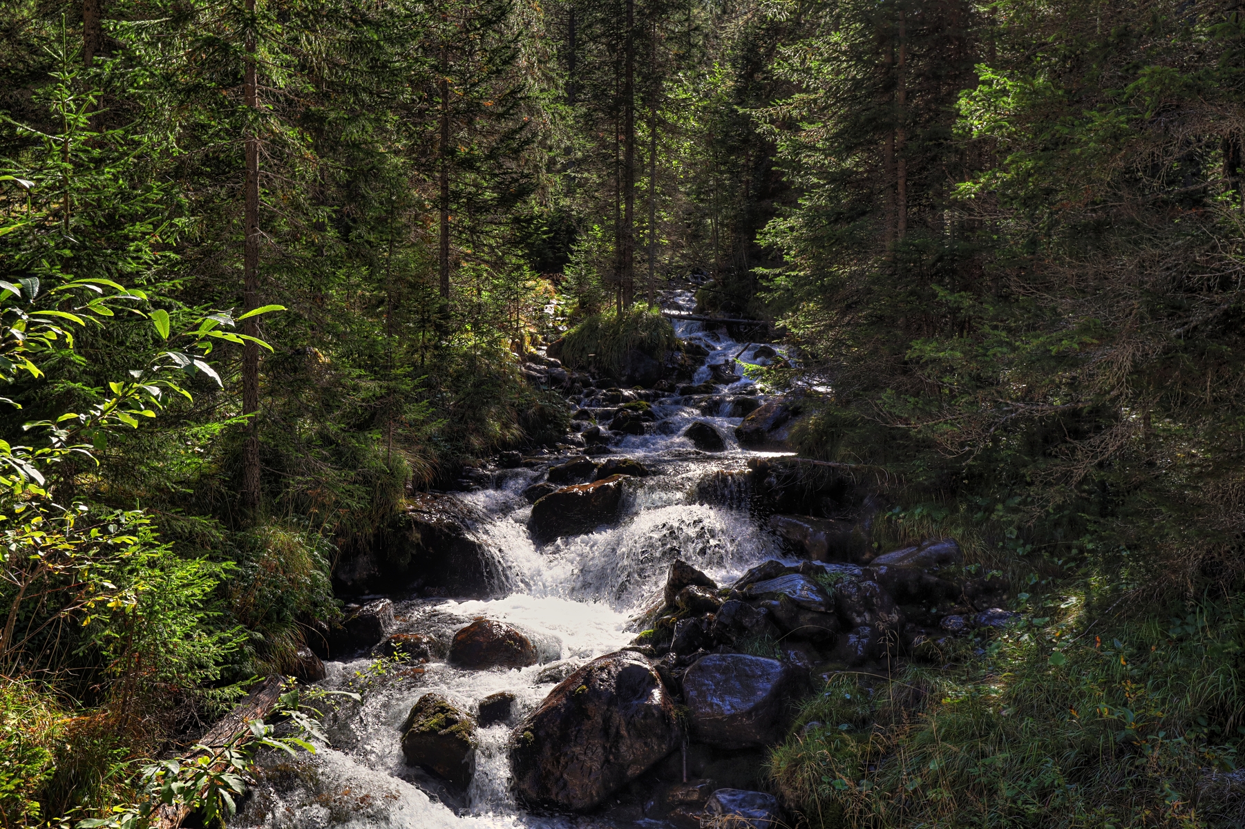 IMG_8973-hdr.jpg
