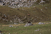 IMG_8559.jpg