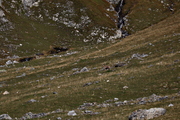 IMG_8577.jpg