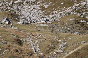 IMG_8600.jpg