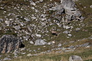 IMG_8628.jpg