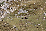 IMG_8642.jpg
