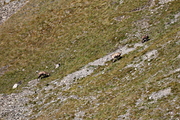 IMG_8687.jpg