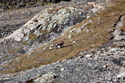 IMG_8693.jpg