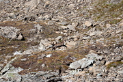 IMG_8702.jpg