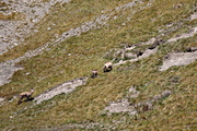 IMG_8705.jpg