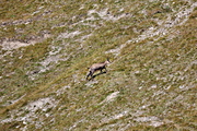 IMG_8714.jpg
