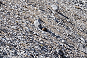 IMG_8906.jpg