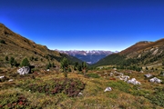 IMG_8931-hdr.jpg