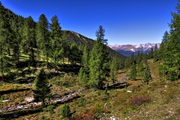 IMG_8961-hdr.jpg
