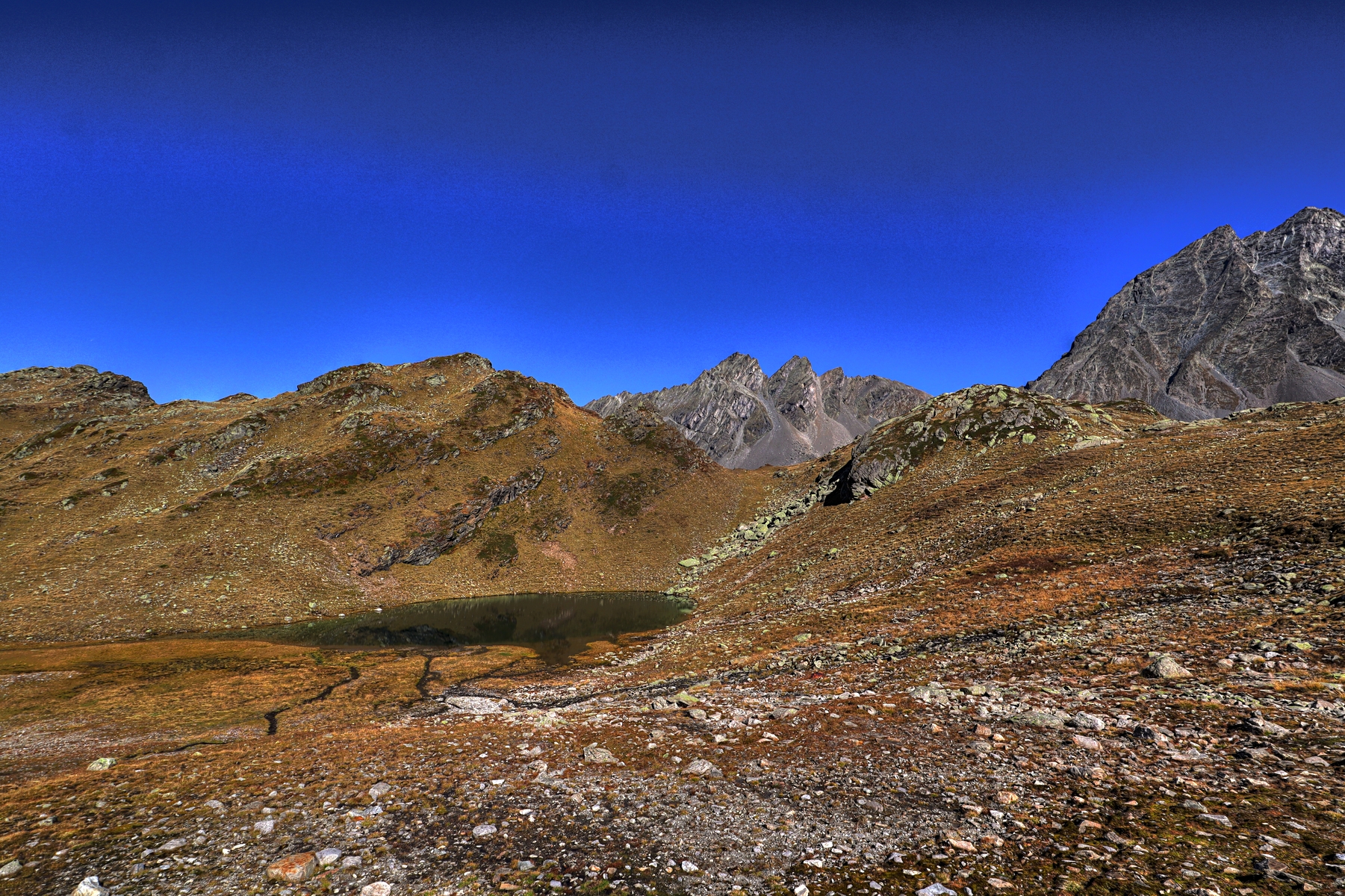IMG_9024-hdr.jpg