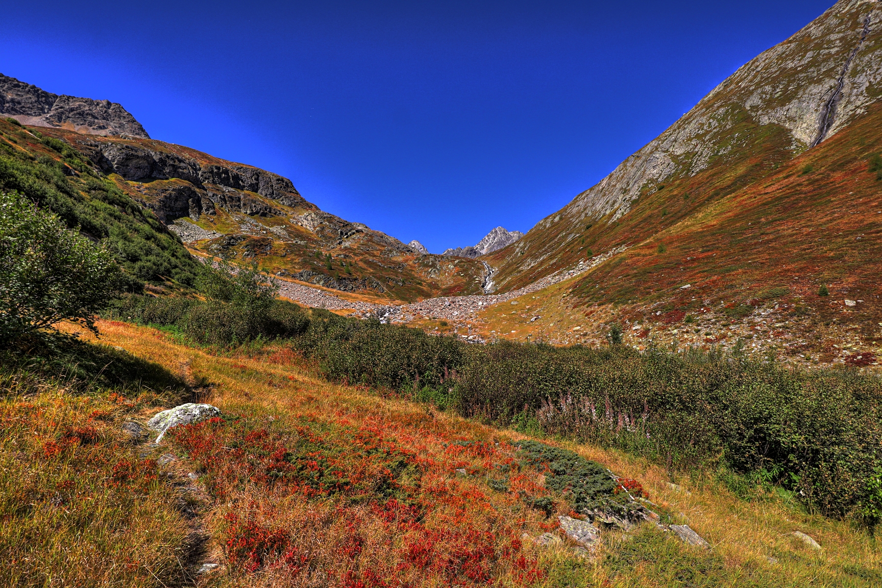 IMG_9117-hdr.jpg