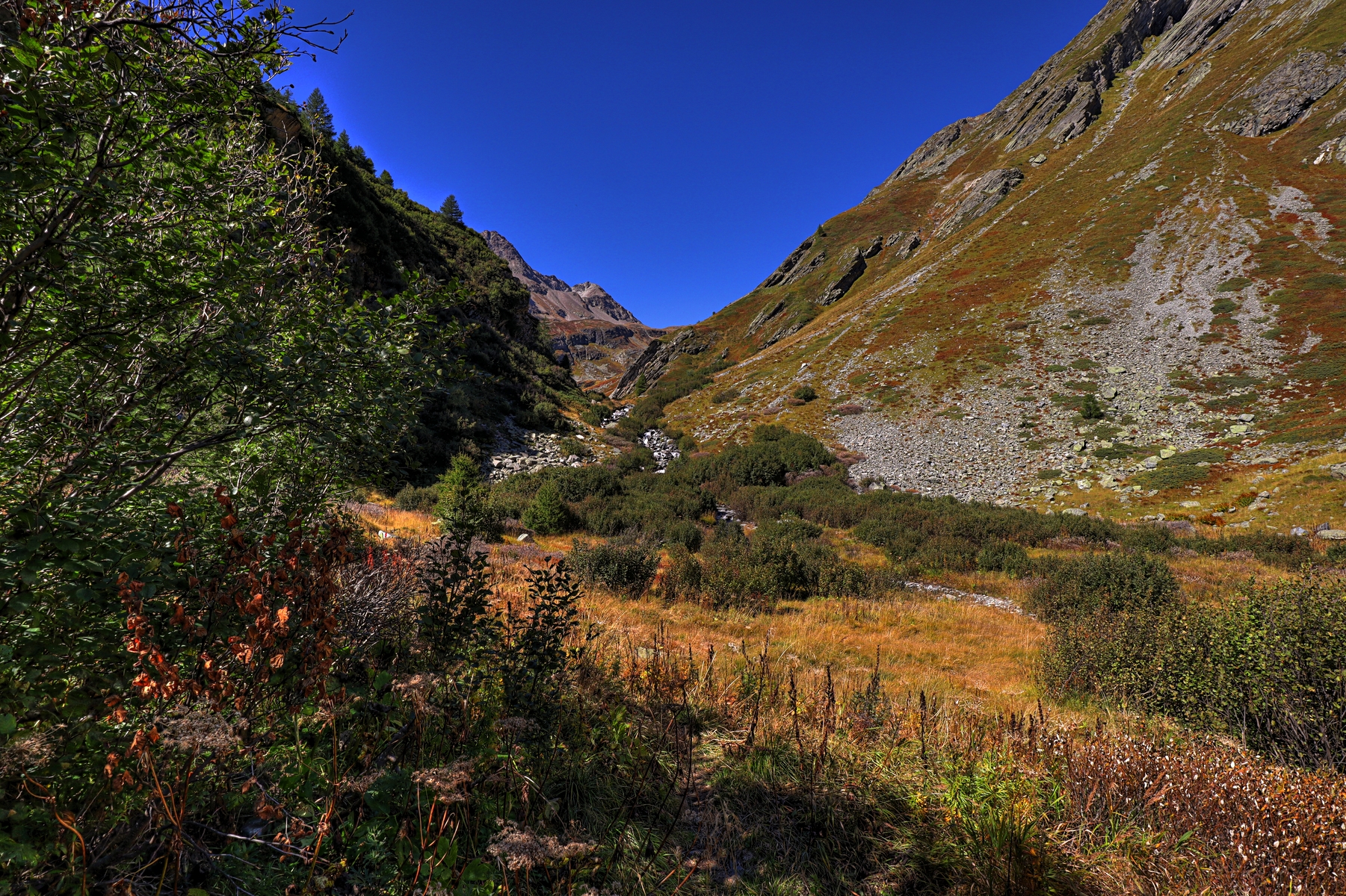 IMG_9129-hdr.jpg