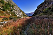 IMG_9126-hdr.jpg