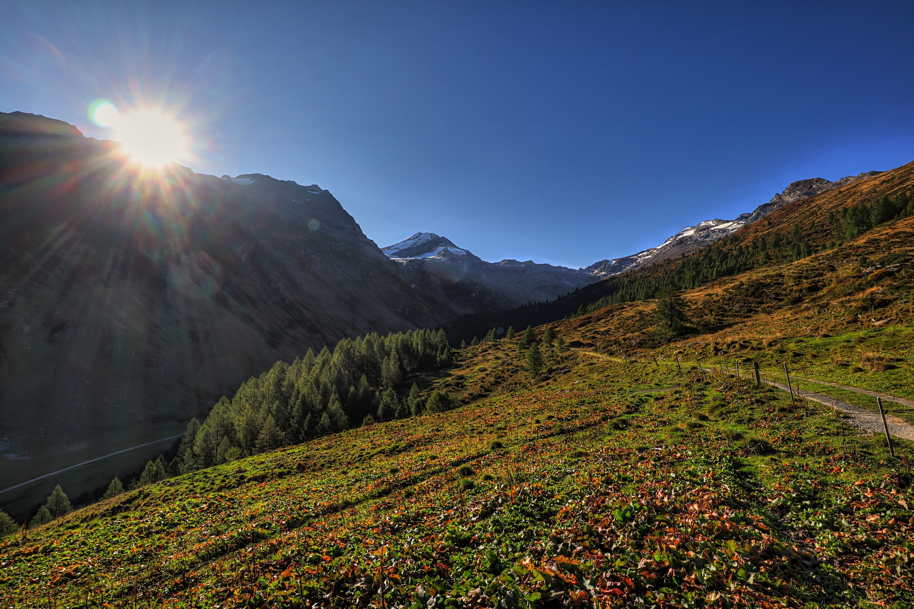 IMG_9138-hdr.jpg